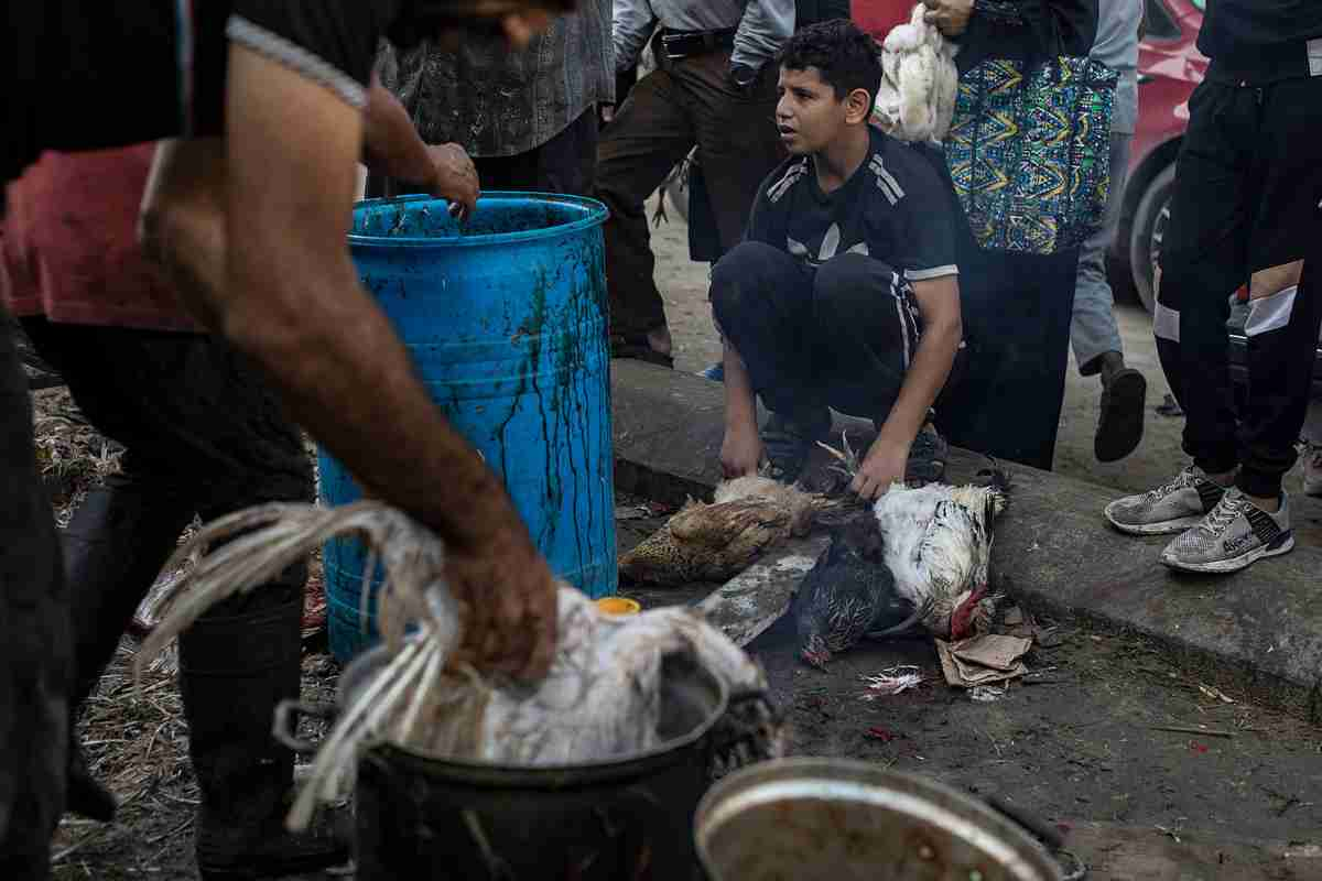 Secondo il Ministero della Sanità di Gaza, almeno 34 persone, la maggior parte delle quali bambini, sono già morte a causa di grave malnutrizione