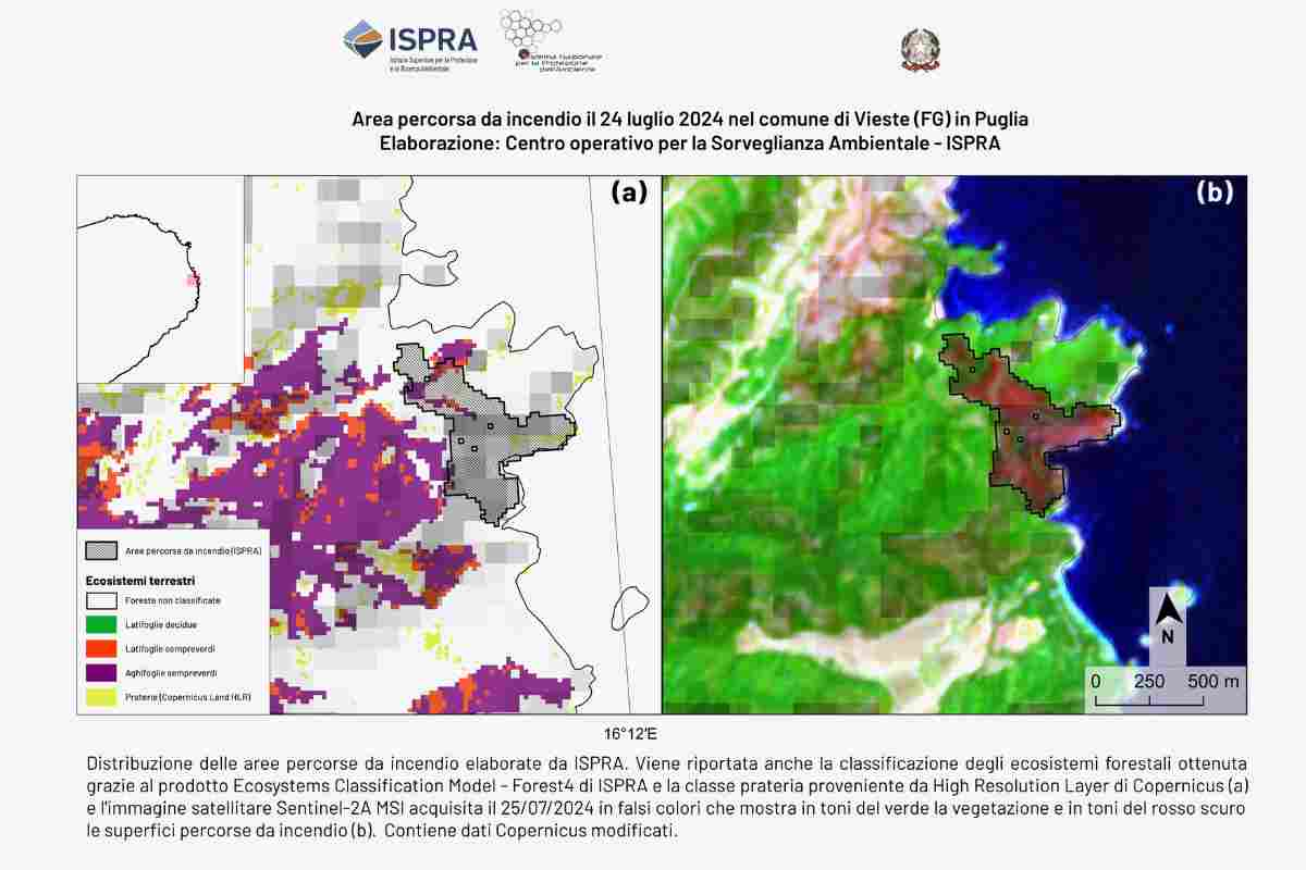 La superficie forestale interessata da incendi per le suddette regioni è dell’80% del totale forestale nazionale incendiato